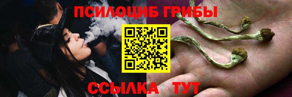 Псилоцибиновые грибы Cubensis Кумертау