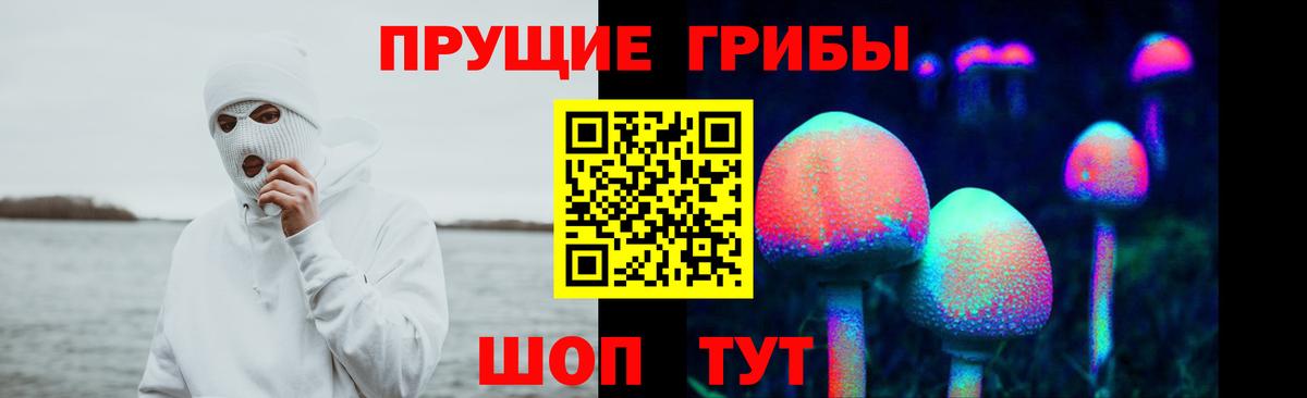 Галлюциногенные грибы прущие грибы  Вход с VPN  Кумертау 